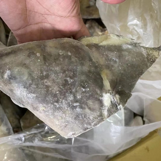 上海鱼头到货，格陵兰鲽鱼头，价优品优，可整柜接。