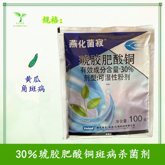 长沙燕化菌寂 30% 琥胶肥酸铜 黄瓜 细菌性角斑病 农药