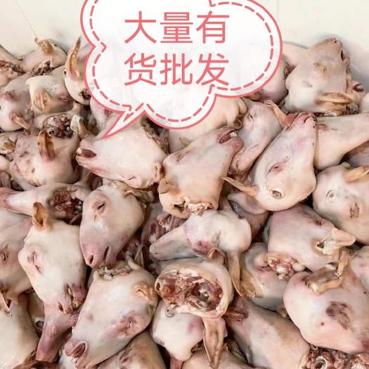羊头净头白头