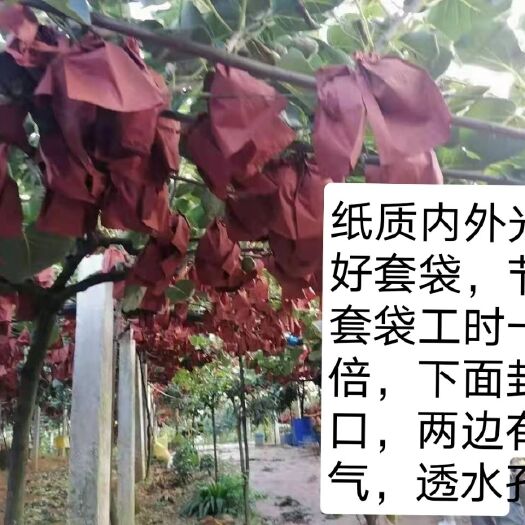 义乌市猕猴桃套袋红心猕猴桃果袋红阳绿心专用袋防虫水防农残加厚袋