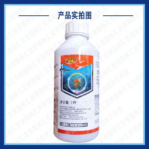 滨州红蜘蛛杀虫剂专用药 阿维甲氰 锈壁虱叶螨果树蔬菜植物农药杀螨