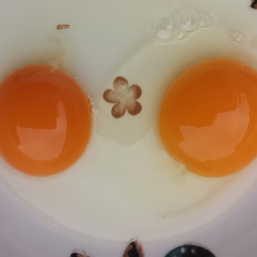 霍邱县土鸡蛋品种齐全，产区直供