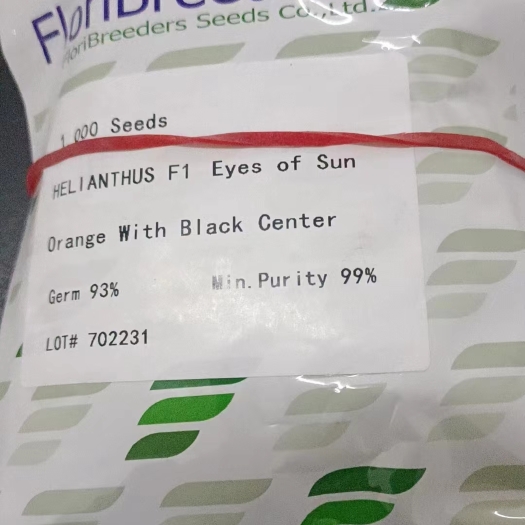 北京向日葵，太阳之眼，数量有限，有需求联系