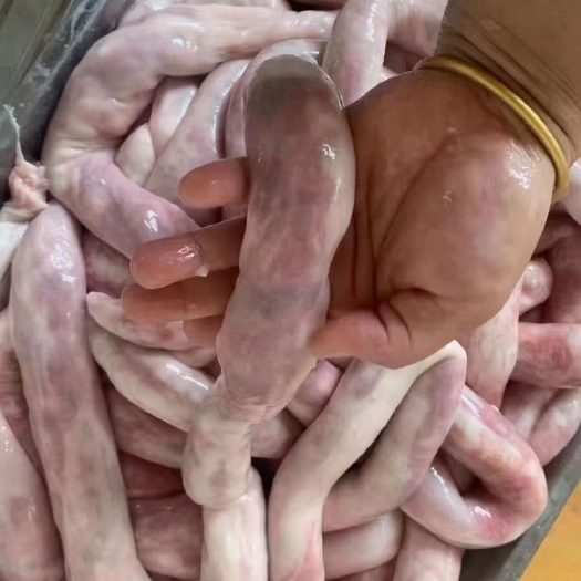 肃宁县羊肠包肉 草原风味 清真