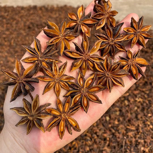 玉林大红八角全干无硫磺