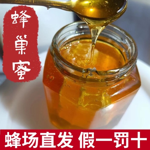 邢台玻璃瓶装蜂巢蜜纯正天然野生封盖原蜜野花百花带巢嚼着吃的土蜂蜜