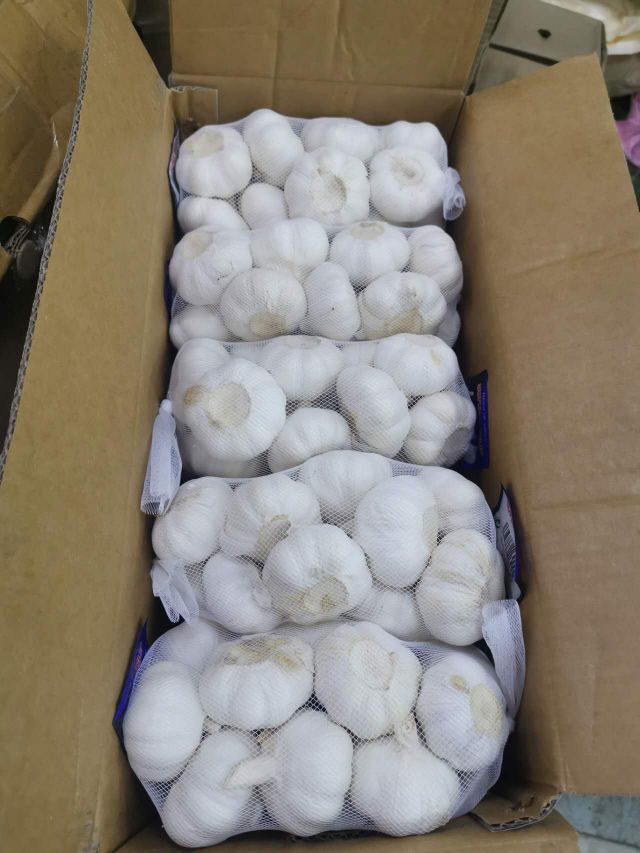 金乡县（外贸专用）白蒜专业出口欧美中东质量源于专业质量成就信誉！