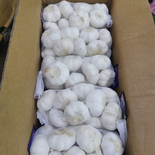 （外贸专用）白蒜专业出口欧美中东质量源于专业质量成就信誉！