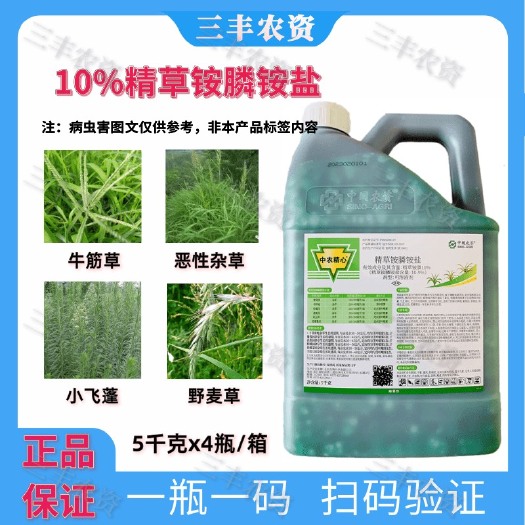 广州精草铵膦铵盐10.9%农药果园荒地非耕地小飞蓬牛筋草杂草