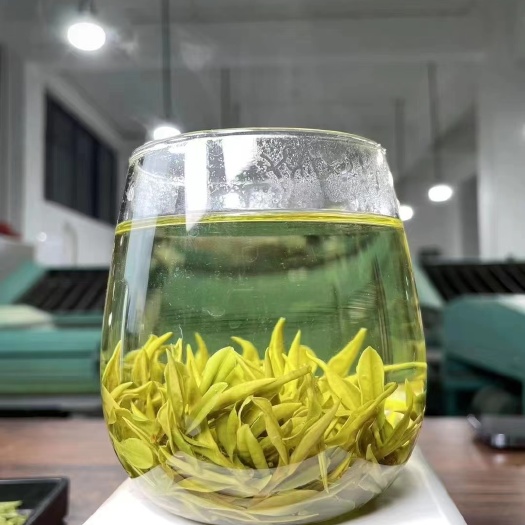 安吉县安吉白茶原产地白茶