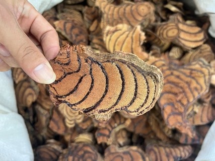 广州大中片鸡血藤，厚片，颜色鲜红，表面一层层浆多，足干无硫包邮