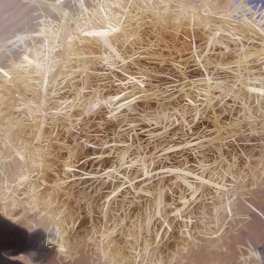 正阳县喂牛稻草压块 稻草秸秆揉丝压块干草 牛羊草料 草场直发 不包