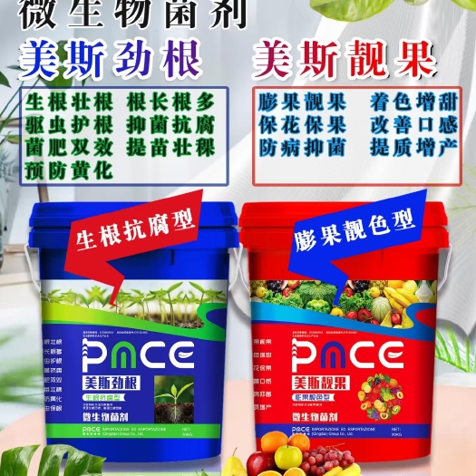 郑州劲根靓果