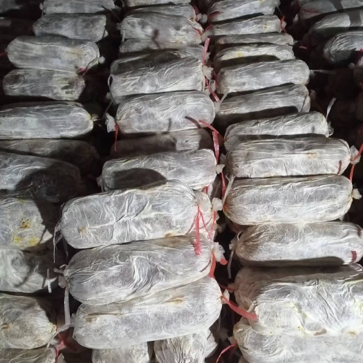 冠县各种规格灵芝菌包，产地直销，大量现货