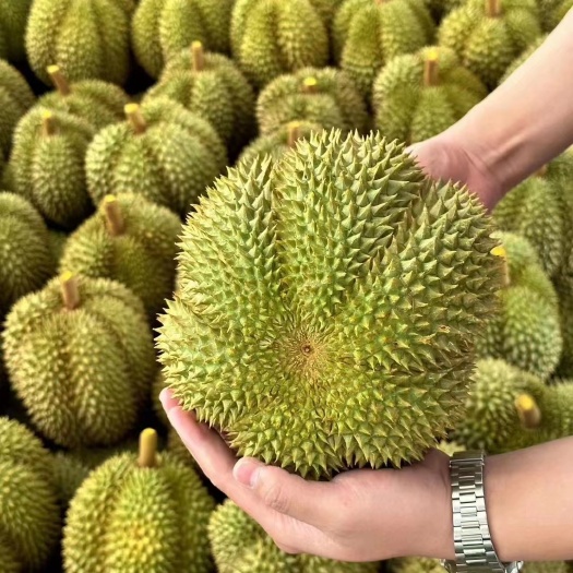 昆明榴莲