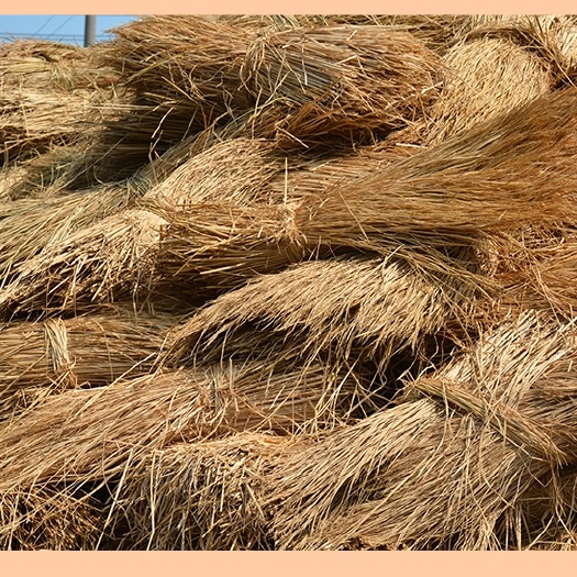 沭阳县农家乐屋顶稻草装饰 稻草 稻草帘子 草垛道具干稻草制作新稻草