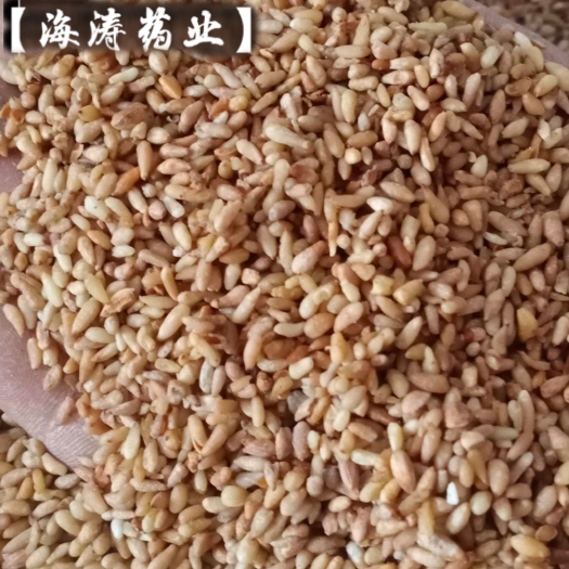 鄄城县【柏子仁】产地山东一手货源大货供应规格齐全量大优惠。