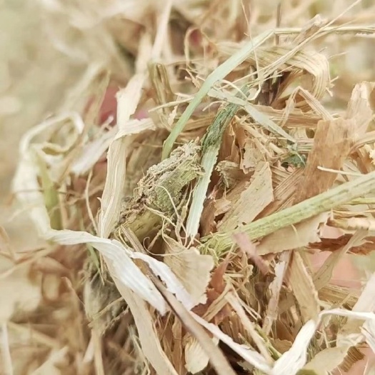 正阳县玉米秸秆草料 牛羊草料干 揉丝粉碎玉米秸秆干草 马驴牛鹿草料