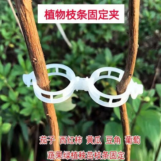 唐山扶蔓固定夹 绑蔓夹固定卡扣 绿植夹 固定器秧苗定型