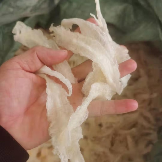 南安市小龙胶 鱼胶 一手加工货源巴沙胶