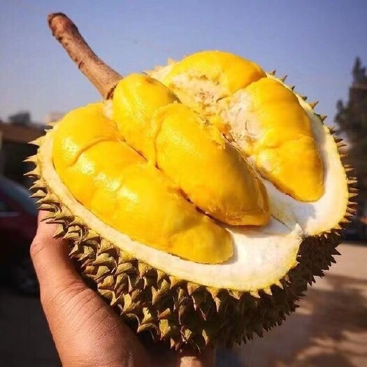 昆明泰国初代的甲仑榴莲王，果肉细腻，支持各平台一件代发无痕发货