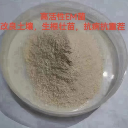 济宁EM菌原粉改良土壤 生根壮苗 提升产量 抑菌抗病 防治死棵