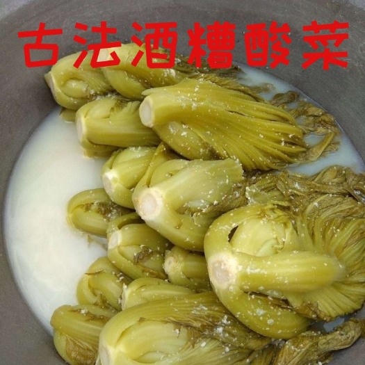 广西酒糟酸菜老坛酸菜泡菜开胃酸菜厂家直销1斤5斤9斤