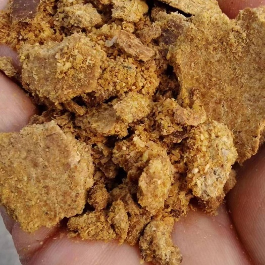 赵县玉米胚芽油饼蛋白15脂肪12-14牛羊养殖牧场
