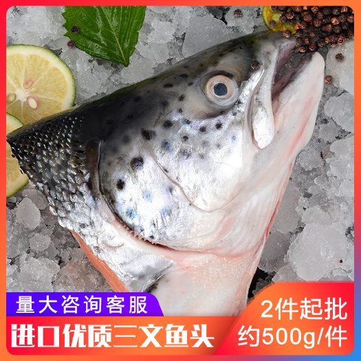 青岛智利三文鱼头鱼尾大西洋鲑鱼非挪威冰鲜鱼头炖汤食材批发