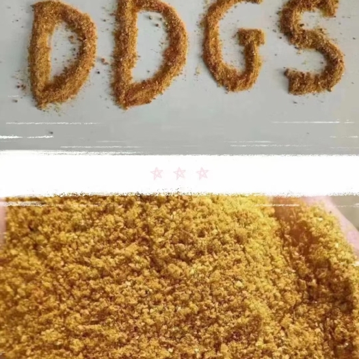 石家庄DDGS，大宗产品，非常规。原料。