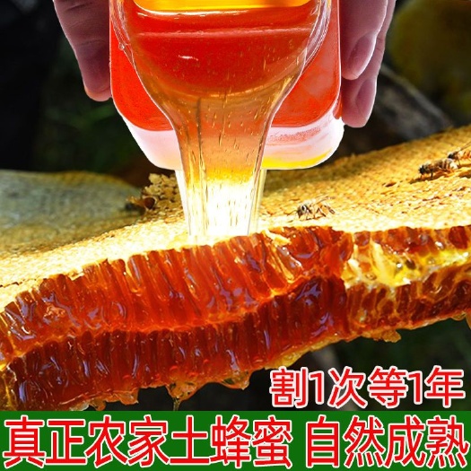青龙县液态土蜂蜜深山木桶密来自大自然的馈赠土蜂蜜野生纯蜂蜜