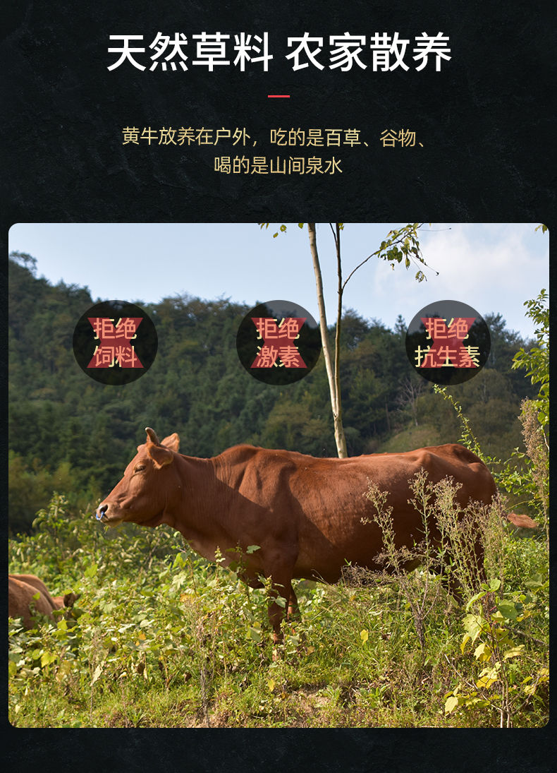 精選黃牛牛腿肉原切腿肉散養(yǎng)牛肉生鮮牛肉火鍋生牛肉里脊肉牛腿肉