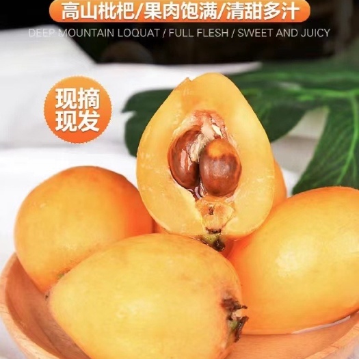 蒙自市云南蒙自枇杷           佛系接单