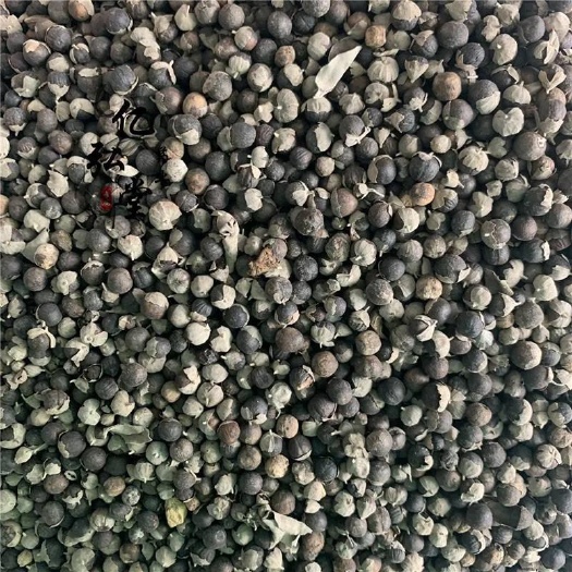 广州蔓荆子供货