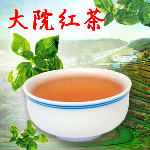 炎陵县高山云雾红茶500g袋装明前新茶叶醇香型炎陵大院正山小种