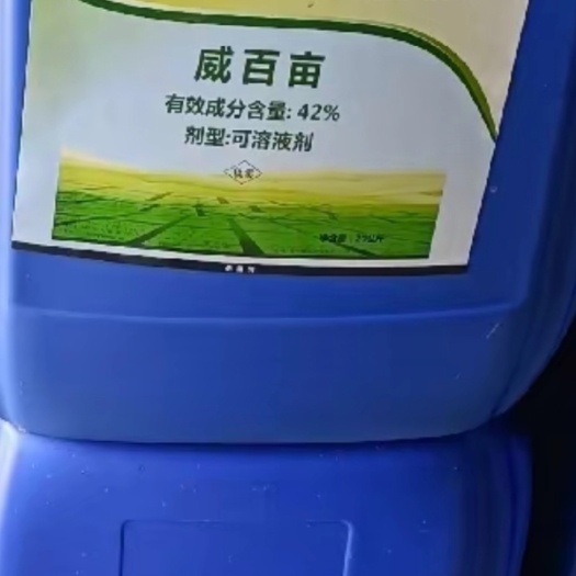 安丘市大鹏威百亩