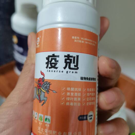 石家庄疫剋：预防病毒病，控旺不控花不控果