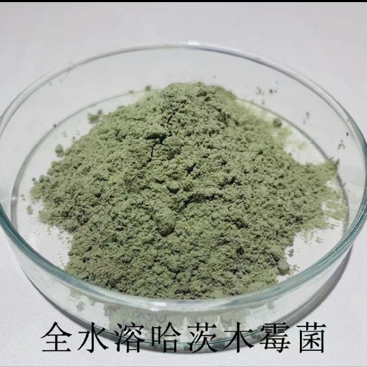 济宁哈茨木霉菌防治多种真菌性土传病害