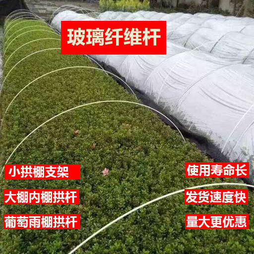 肃宁县玻璃钢小拱棚支架不腐烂生锈循环使用数十年