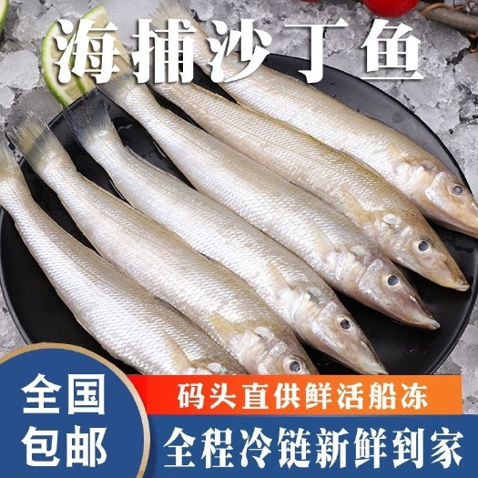 【只卖好货】沙丁鱼新鲜批发鲜活冷冻冰鲜海鲜烧烤食材大个沙丁鱼