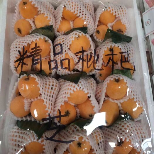 元阳县蒙自枇杷