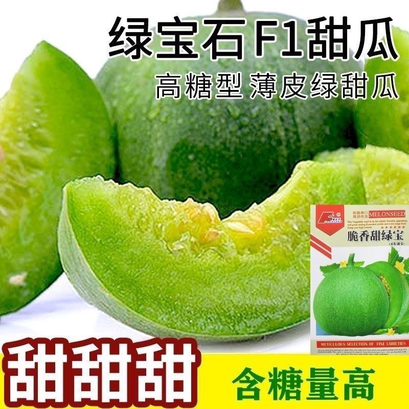 长沙伊丽莎白甜瓜种子绿宝石原装正品青皮香瓜甜瓜种子超甜绿色蜜宝