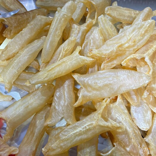 广州10头黄花胶A货