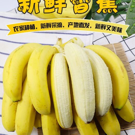 云南香蕉整箱应季水果新鲜包邮批发10斤自然熟大香蕉