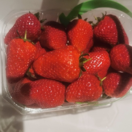 妙香草莓（晚苗，大果）