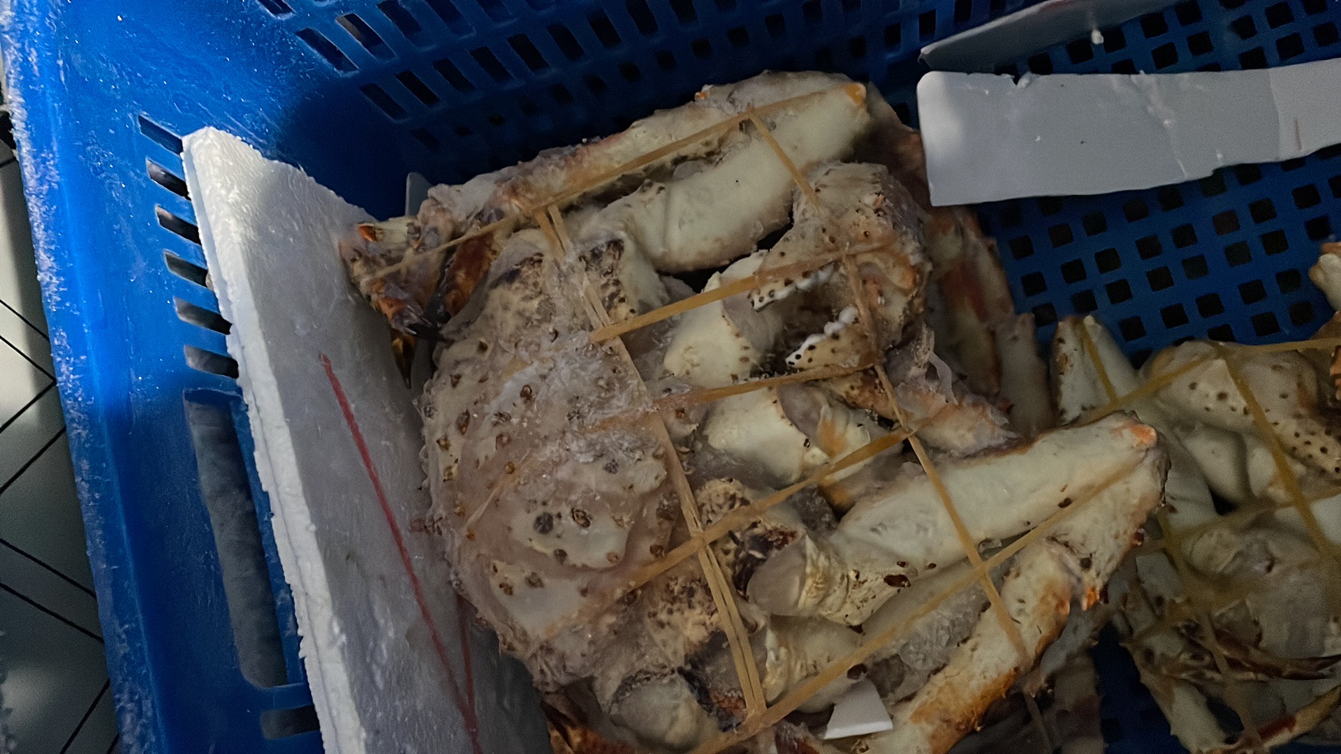 生冻俄罗斯帝王蟹