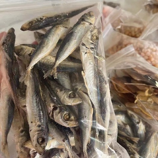 阳西县波浪鱼干一斤装可以当零食的一种鱼干