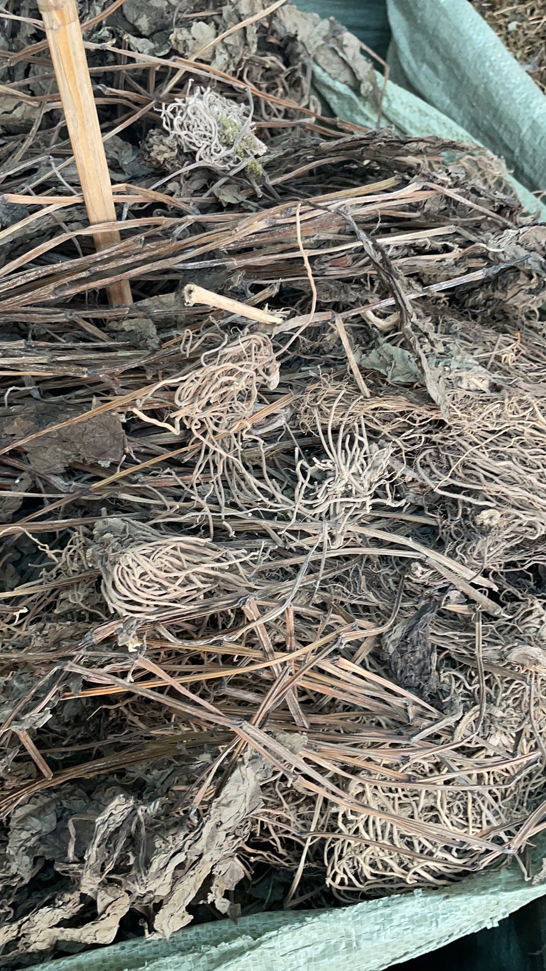 四块瓦 批发零售中药材 一斤起发  新货 量大从优 一件代发