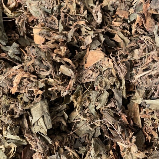 玉林肺心草 批发零售中药材 一斤起发  新货 量大从优 一件代发