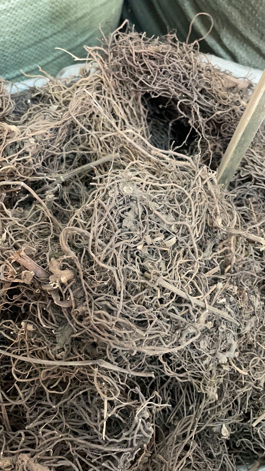 四块瓦 批发零售中药材 一斤起发  新货 量大从优 一件代发